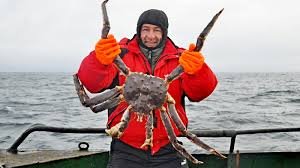 King Crab